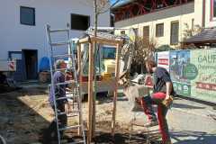 WhatsApp-Image-2025-04-03-at-20.03.41