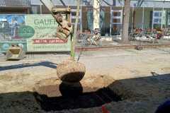 WhatsApp-Image-2025-04-03-at-20.03.42-1